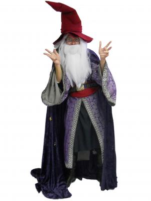c261-wizard