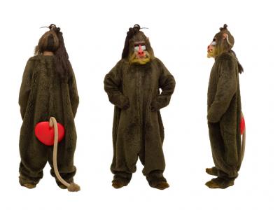 c361-baboon